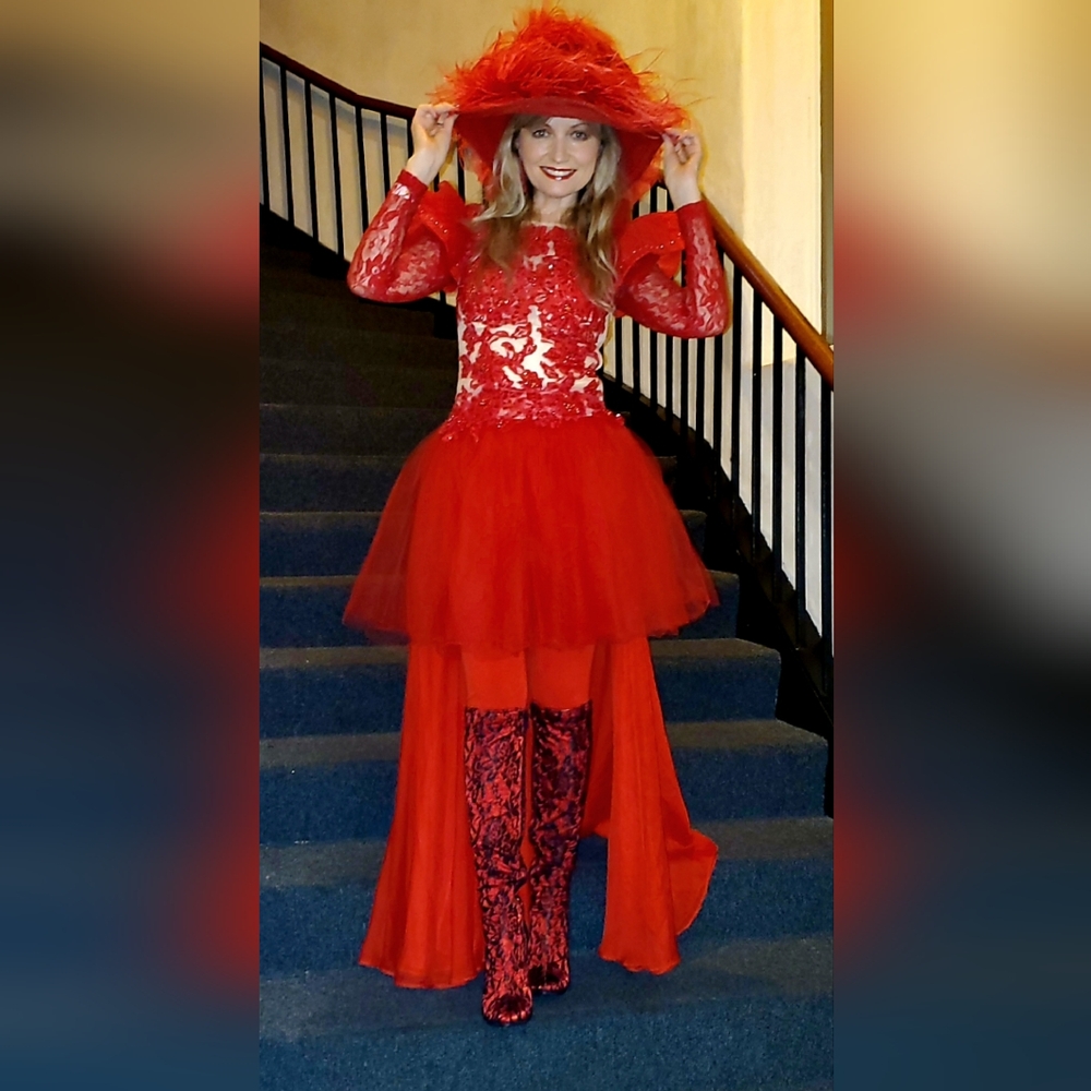 Unique Halloween Renaissance costume